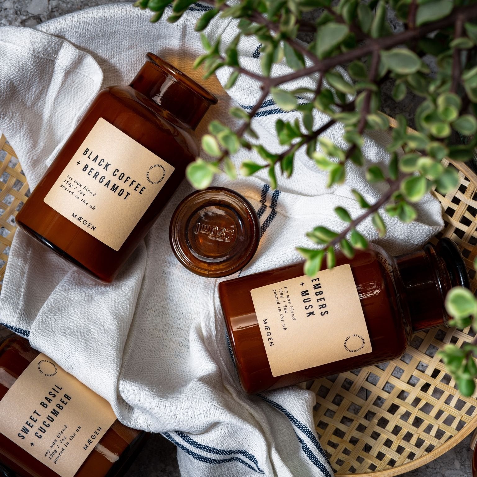 Alchemist Candle (Sweet  Basil & Cucumber)